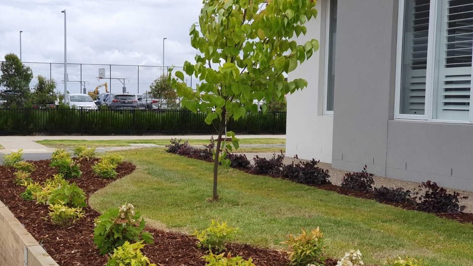 Front Garden