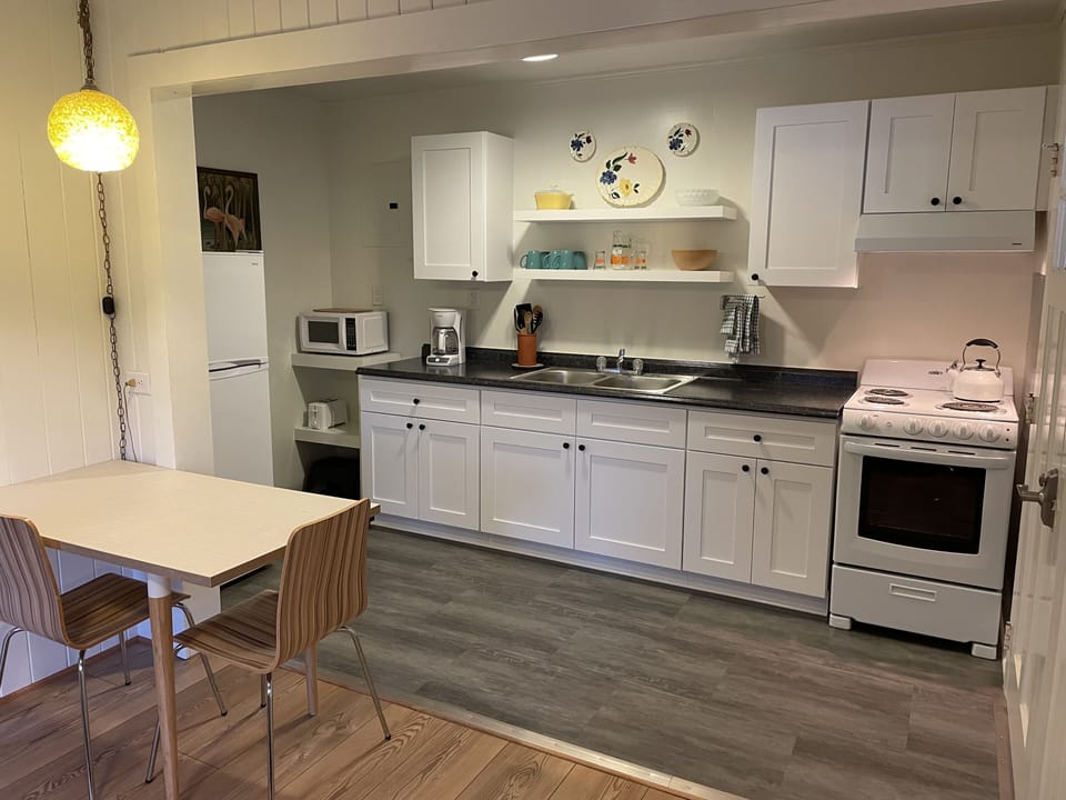 Nicely equipped kitchen, fully renovated