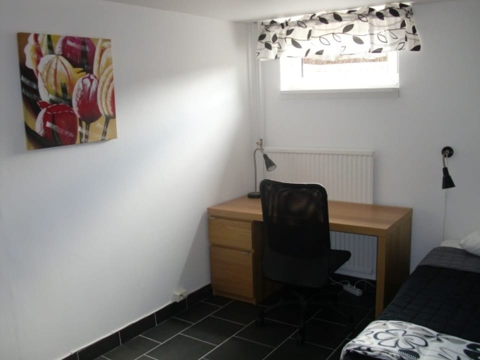 bedroom in the basement