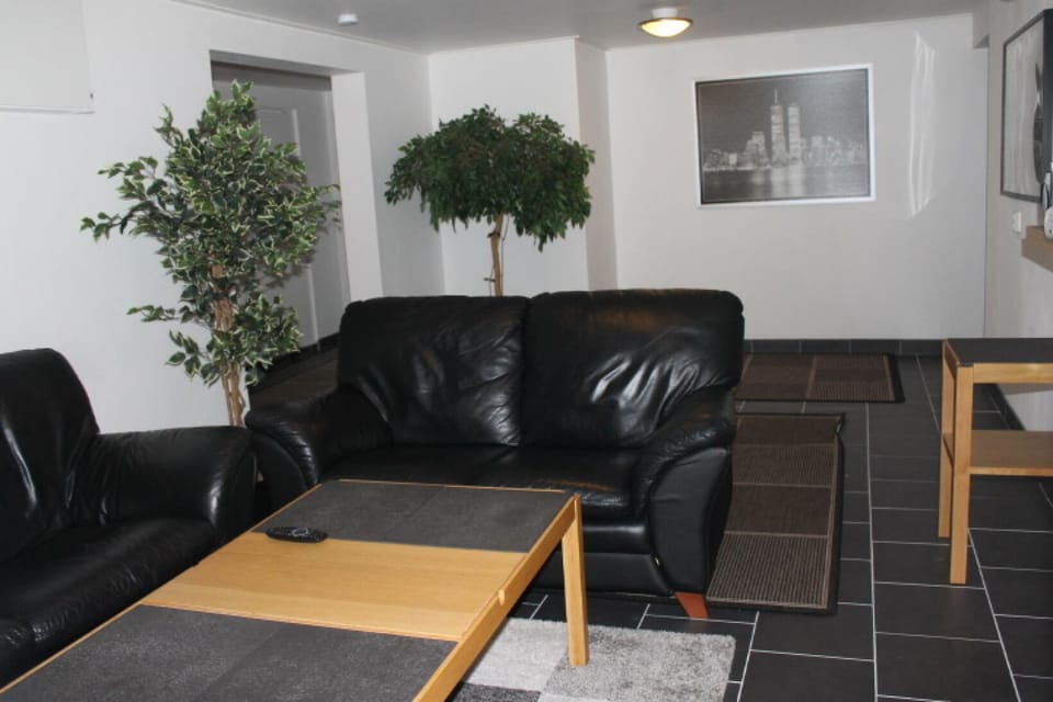 living room in the basement