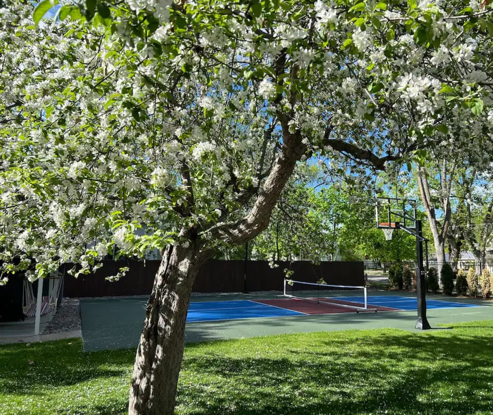 Your own basketball and pickle ball courts with night lighting