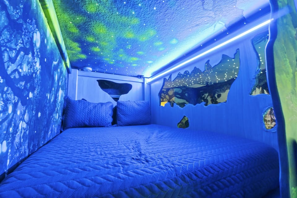 Top bunk of Avatar Bunk Bed (Full Size)