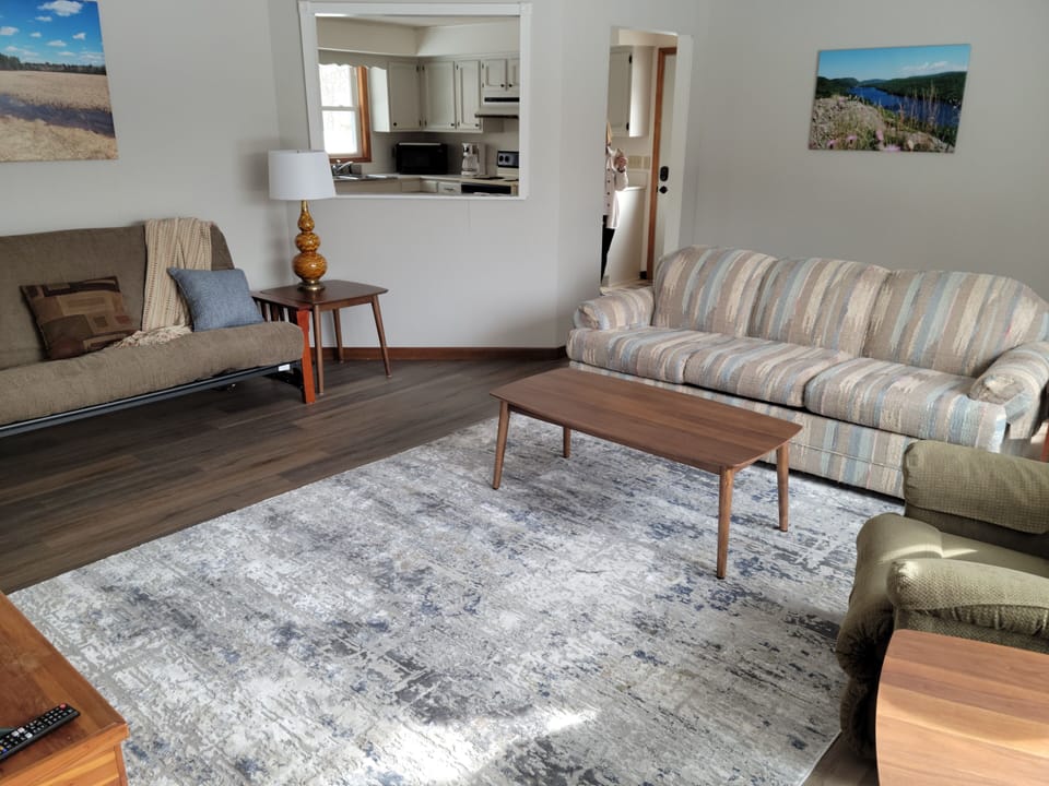 Futon couch and sofa bed