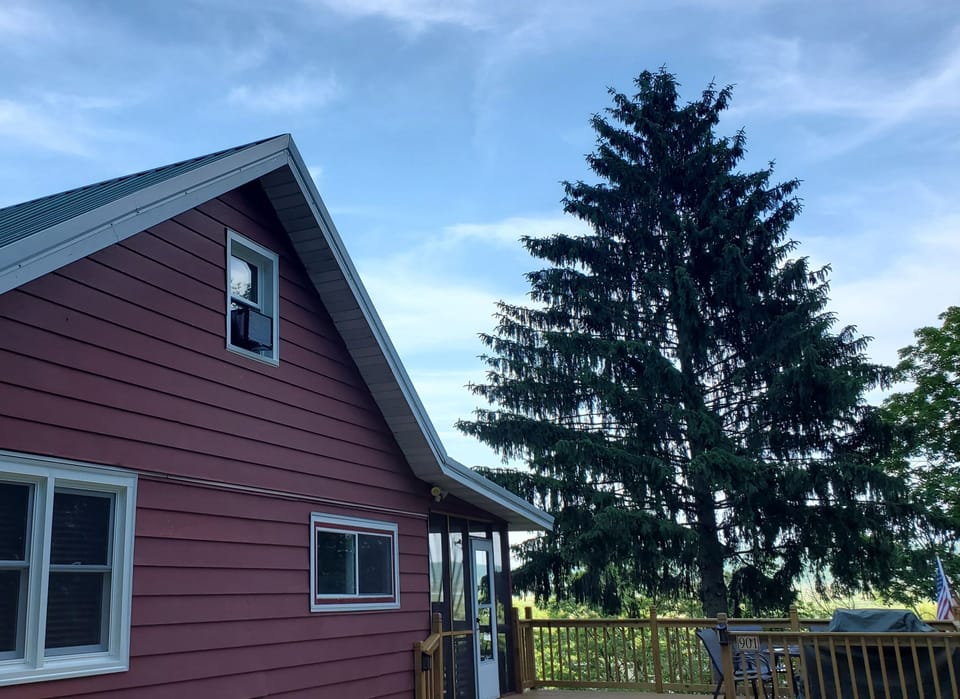 Side House View 