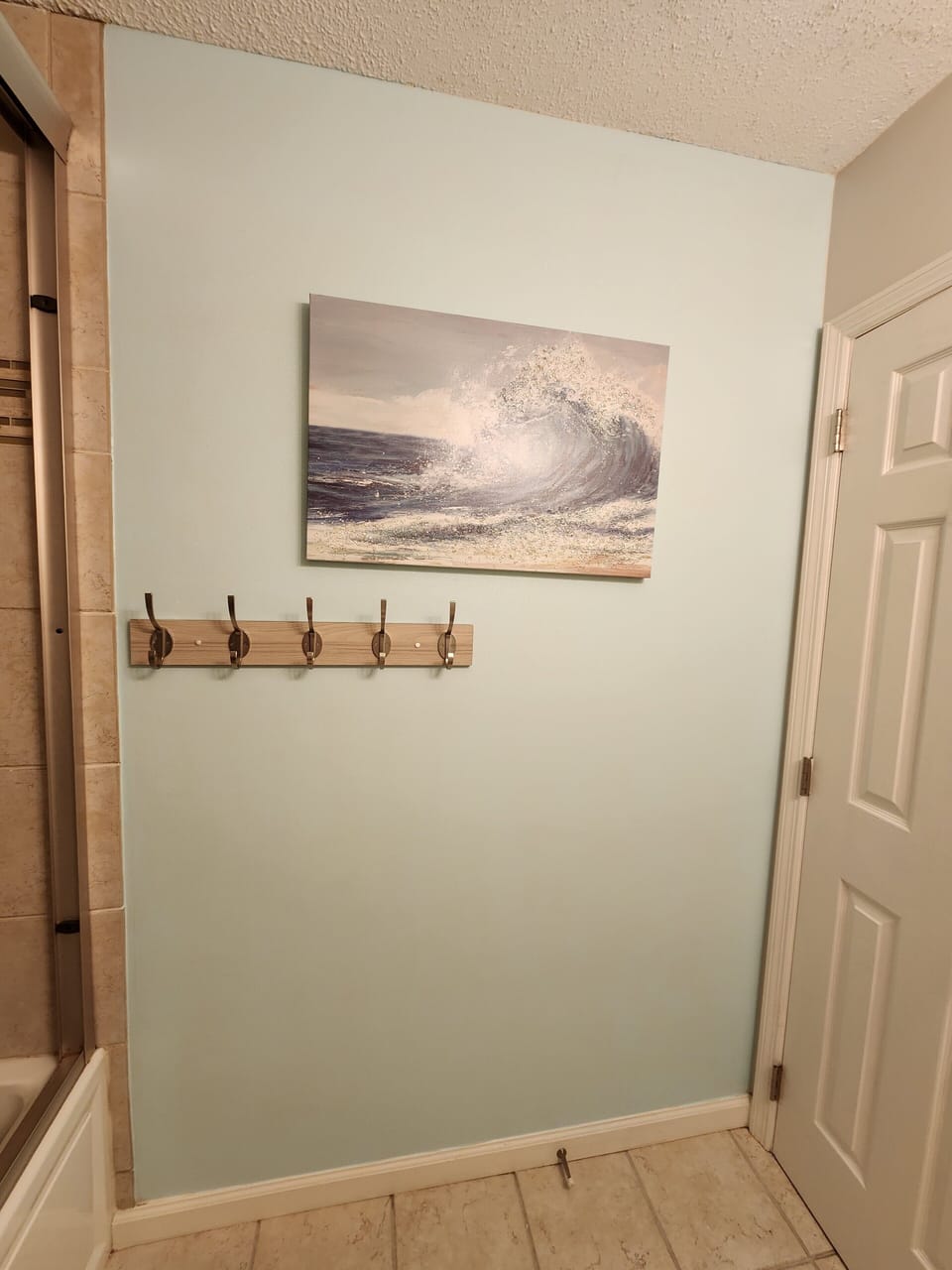 lots of hooks for towels in bathroom