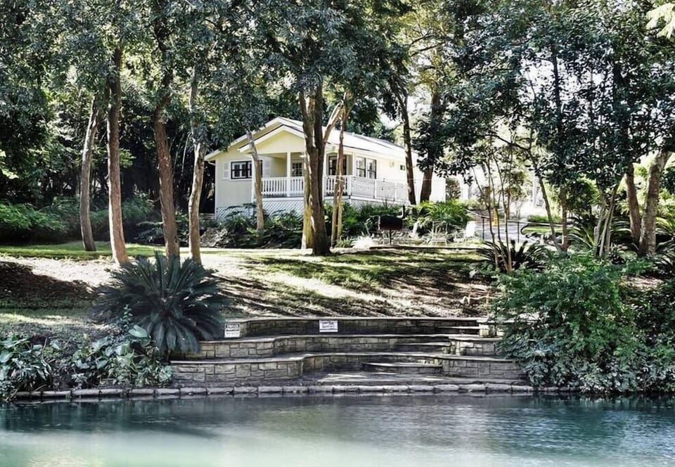 View from Comal River