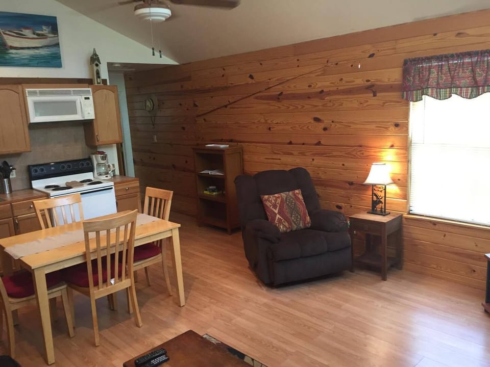 Living room and kitchen