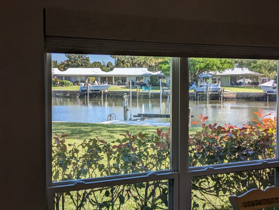 View from dining room