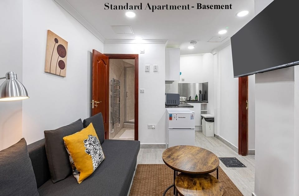 Studio Apartment - Basement