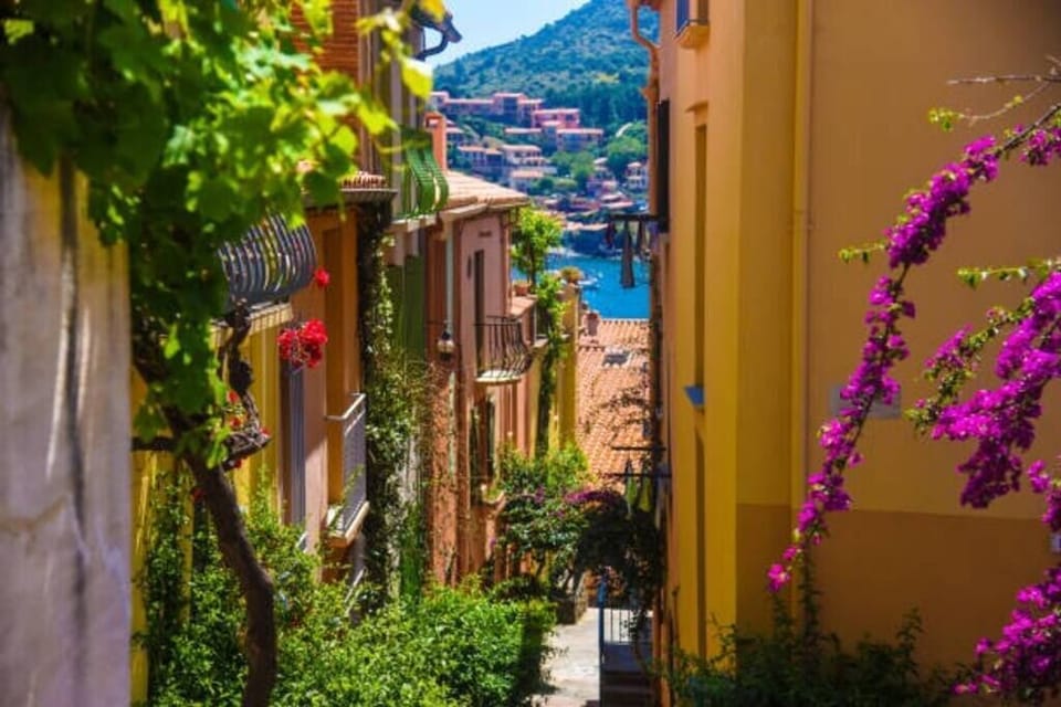 Collioure colorfull alley