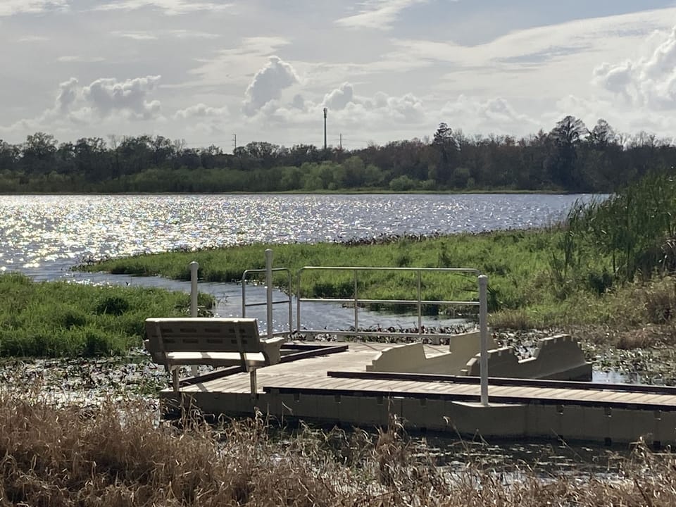 Kayak Drop-off at Rowlett Park
