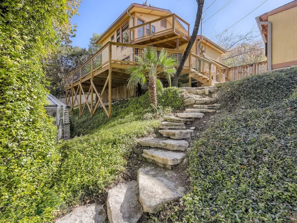 View from the backyard 