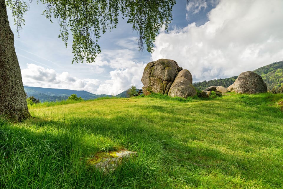 Miscellaneous