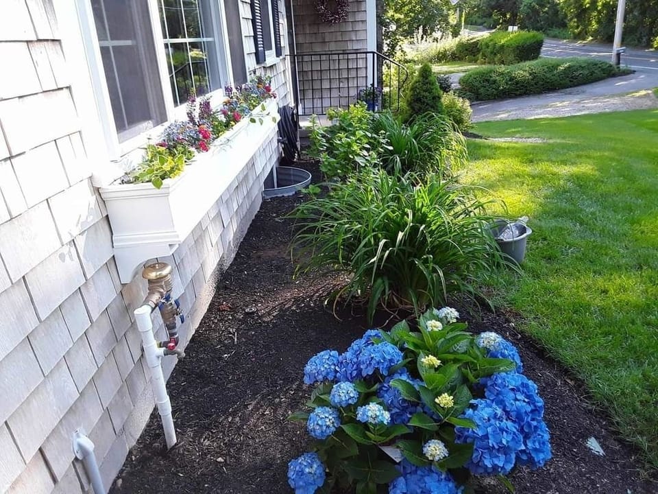 Beautiful landscaping
