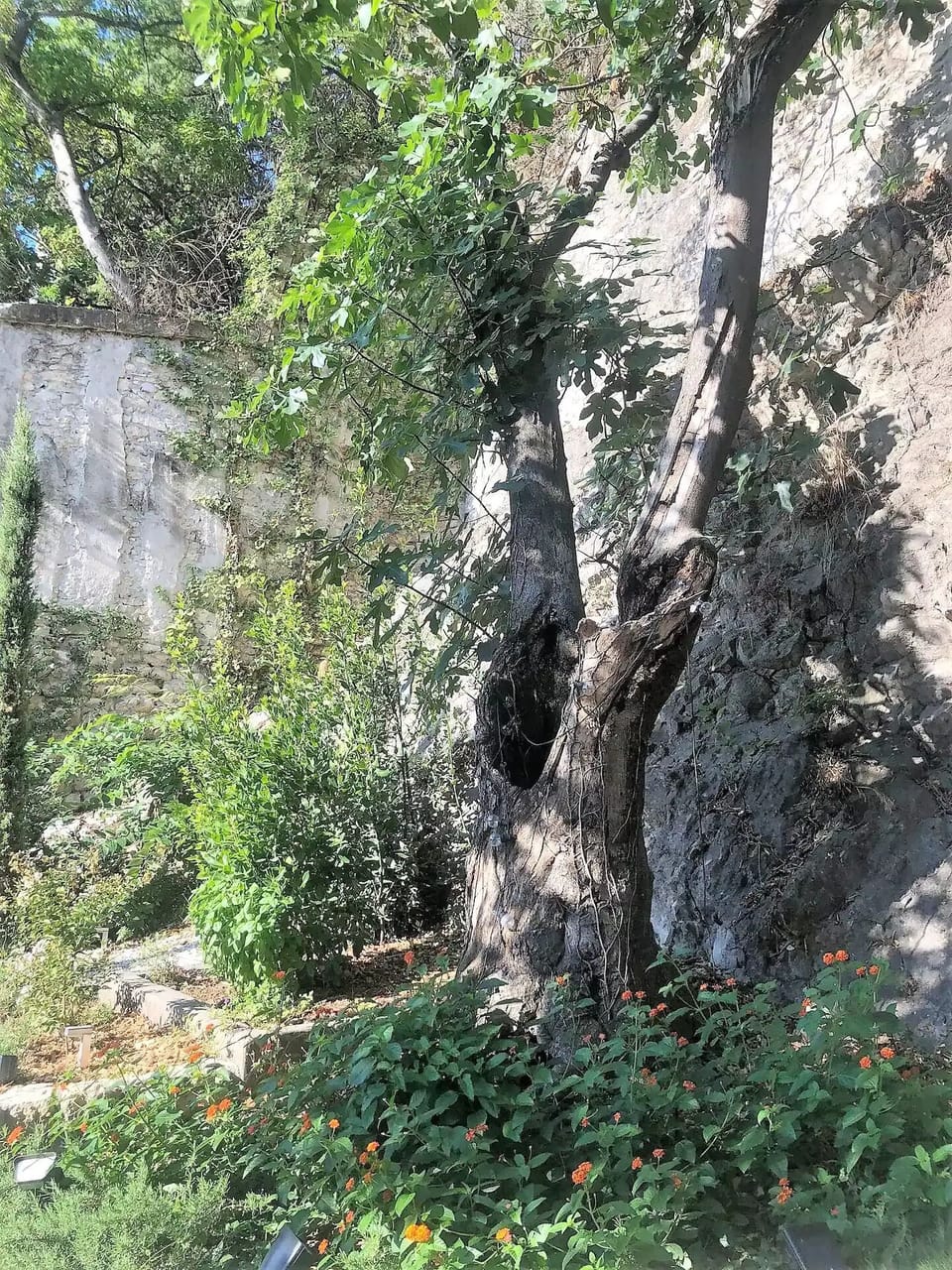 Property grounds