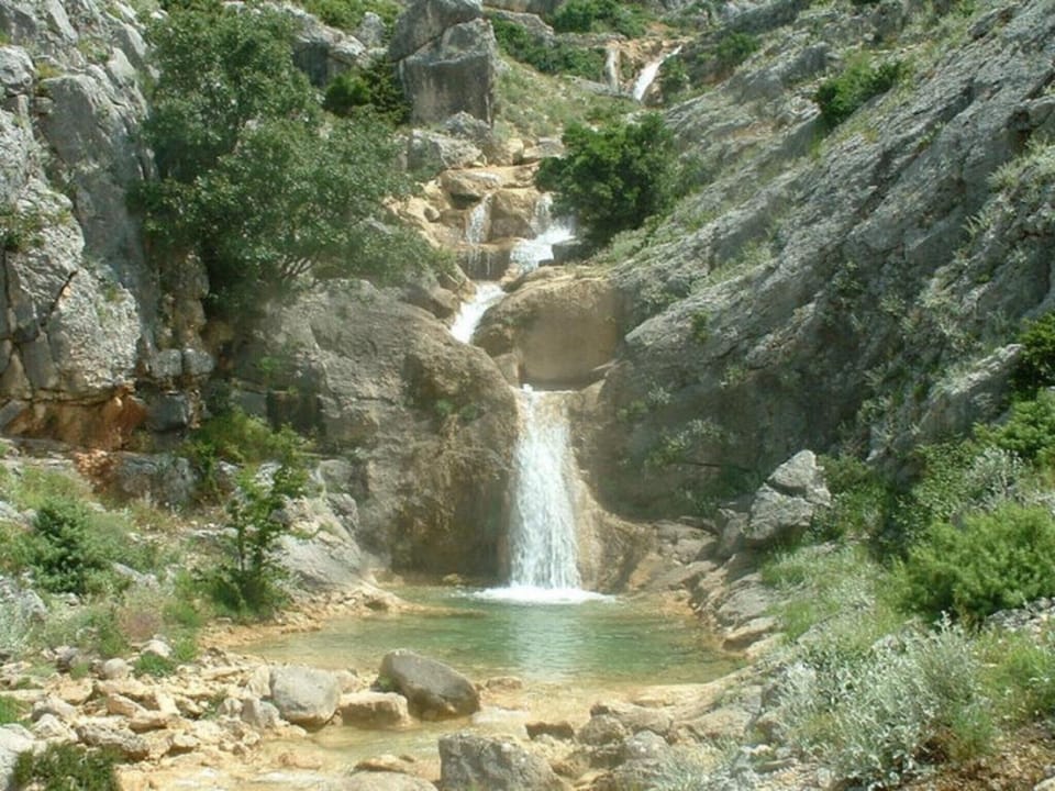 Area