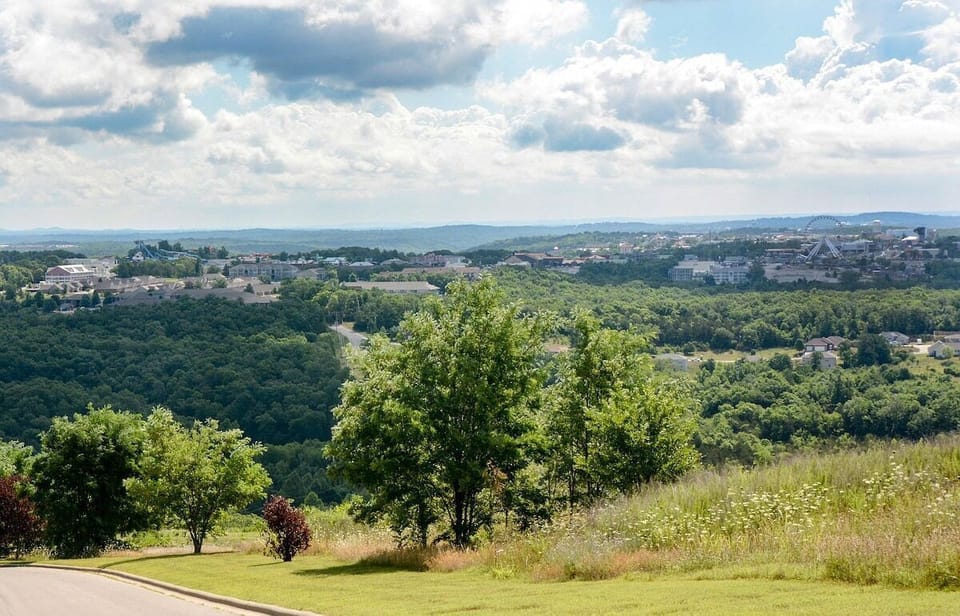 Like a vineyard in France, we are up on the hills overlooking the village below, called Branson.