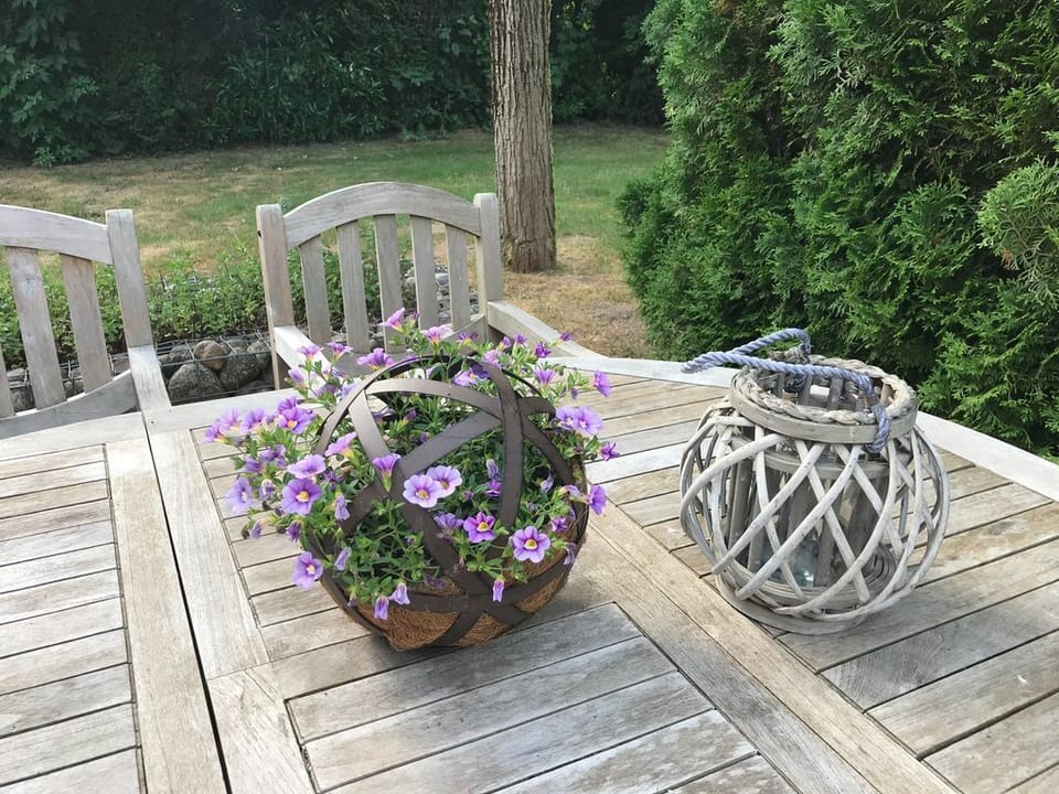Sorgenfrei, Ferienhaus - Ferienhaus, Dusche, WC House in Schleswig-Holstein