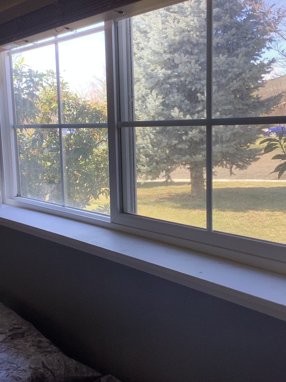 View from room 3