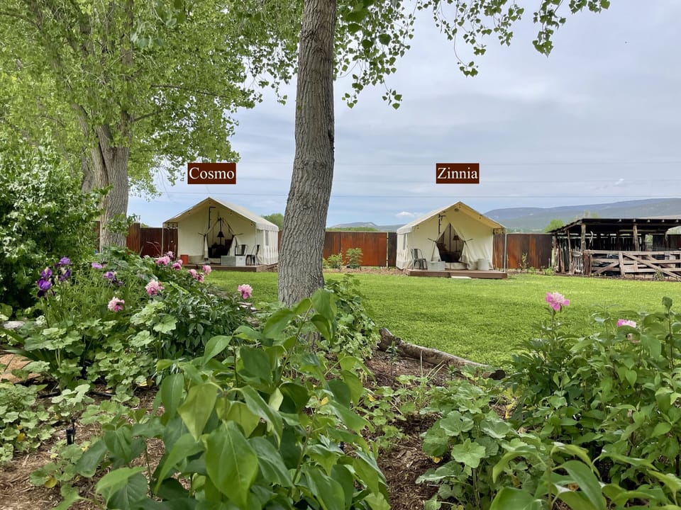 The Zinnia tent is located on the right, when looking at the two glamping tents.
