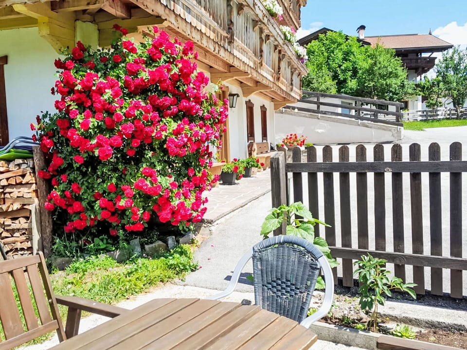 Flower, Petal, Shrub, Pink, Floristry, Garden, Spring, Flowering Plant, Flowerpot