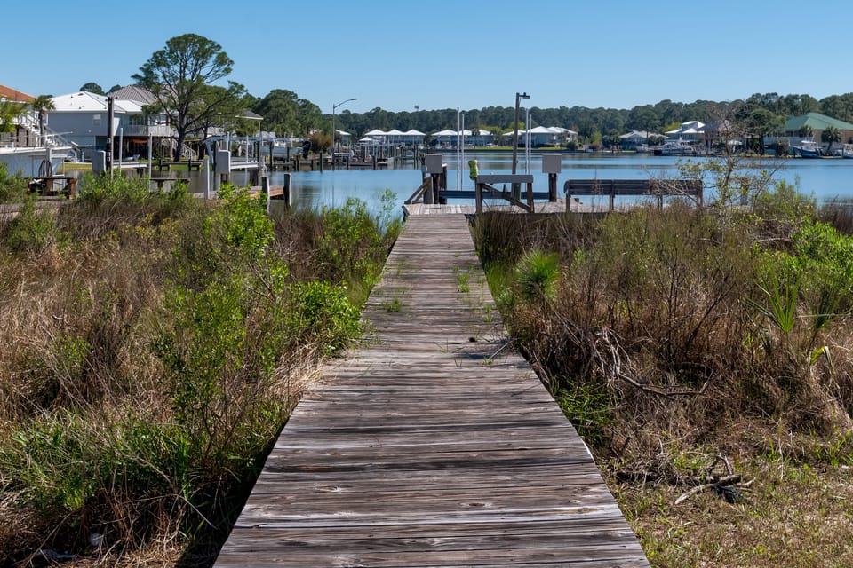 Natural Vegetation Dauphin Island Beach House