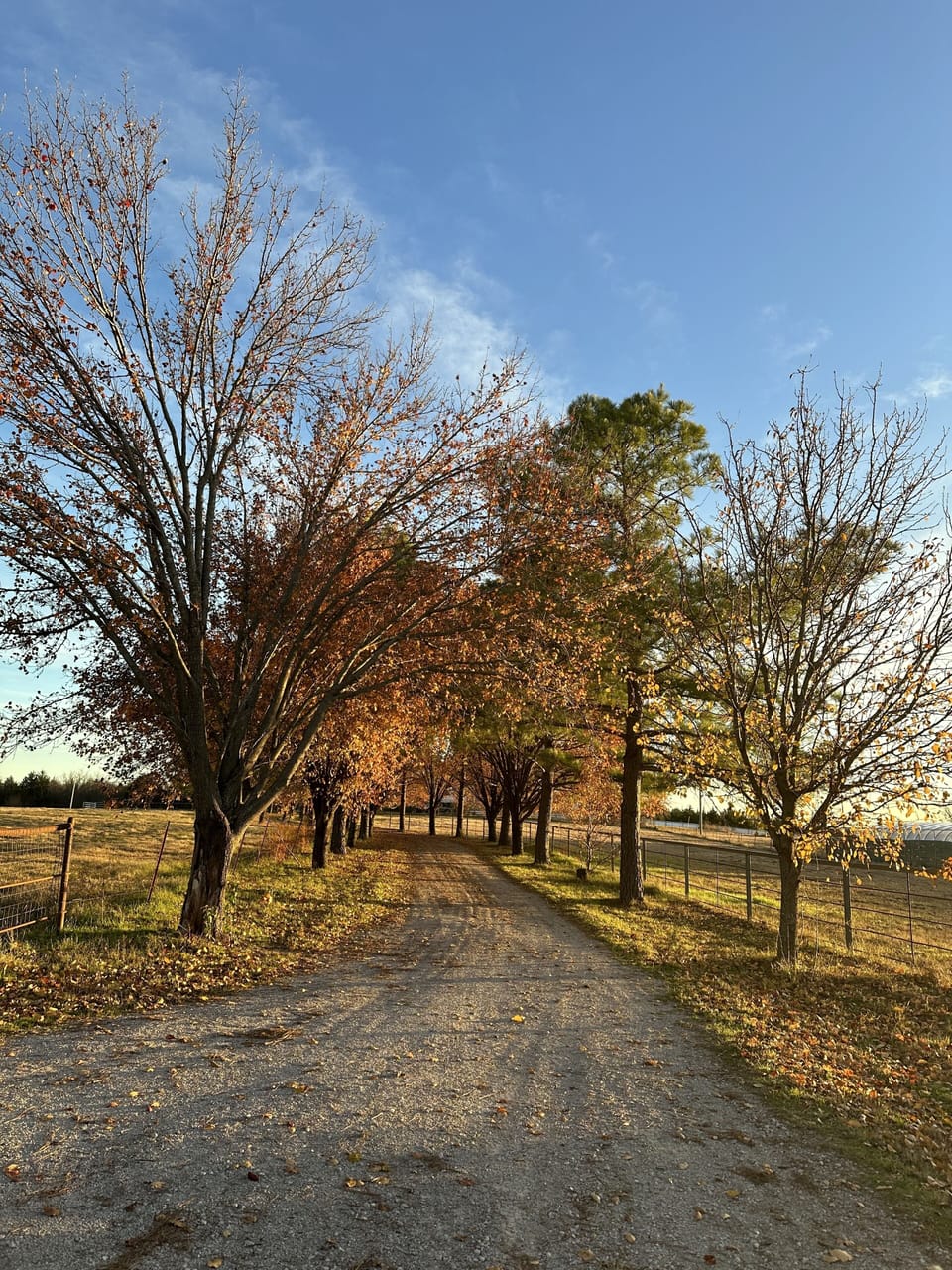 Miscellaneous
