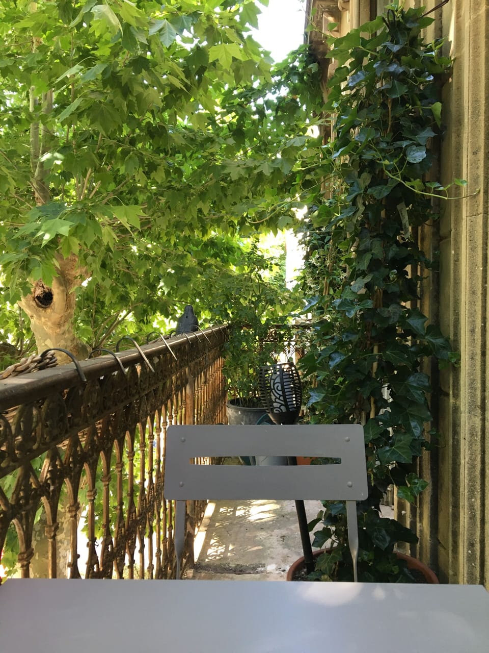 Property grounds