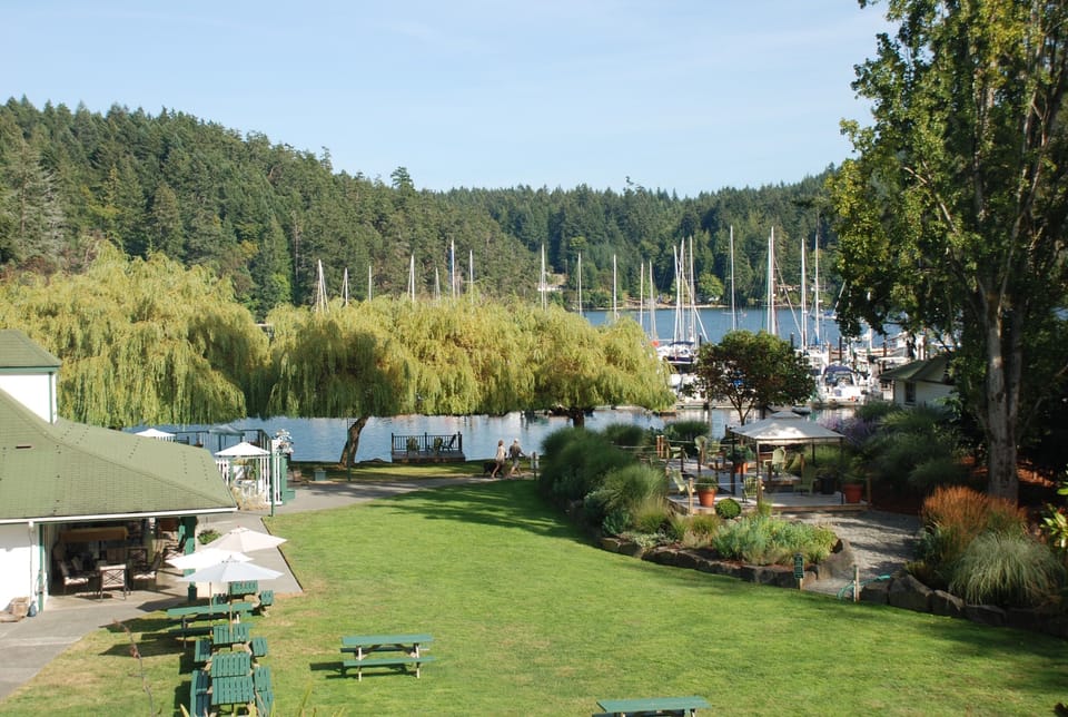 View of the Marina from the family pool