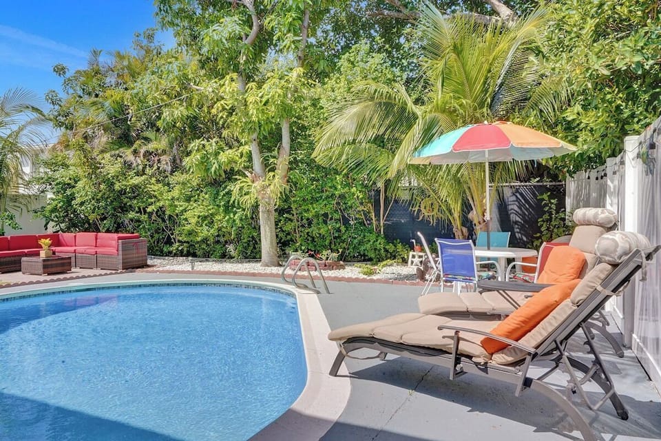 Sunny Backyard