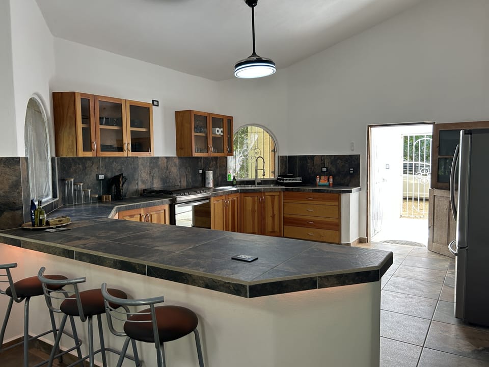 The kitchen has a large fridge with an ice maker and on tap cold drinking water