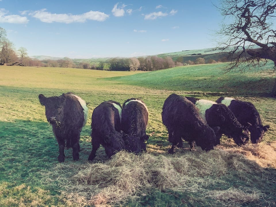 Surrounding area | Bondcroft Farm Cottage, Eastby, near Skipton