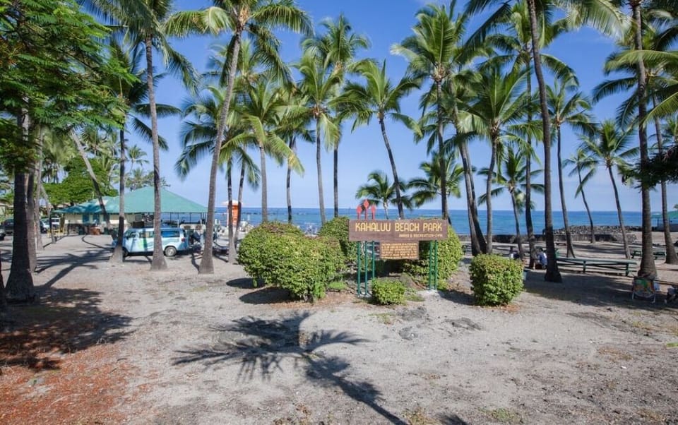 Kahaluu Beach Park-1 to 2 min drive (we walk)snorkel, take boat out, swim