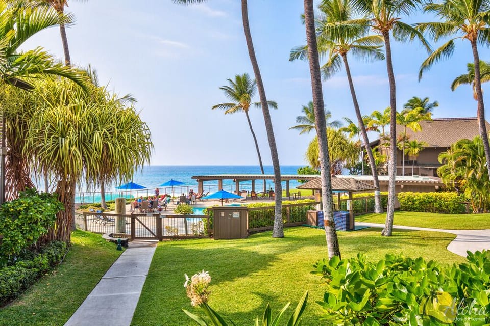 View of oceanfront pool. Over 16 acres of lush green grass