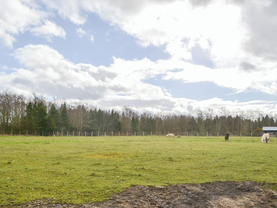 View | Old Colliery Cottage, Shilbottle, near Alnwick