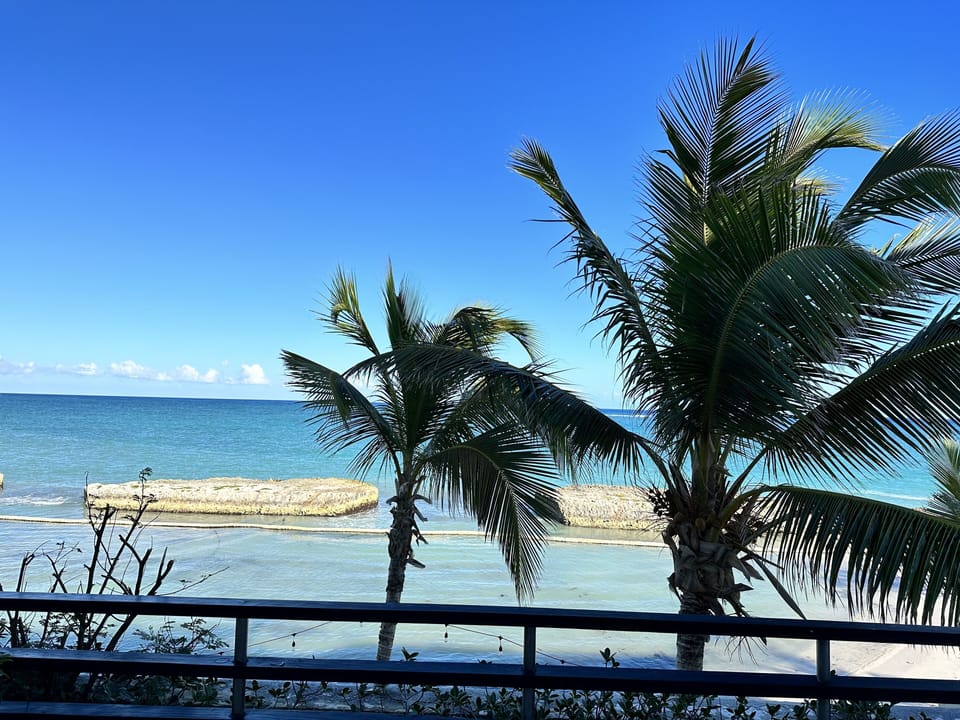 View from terrace
