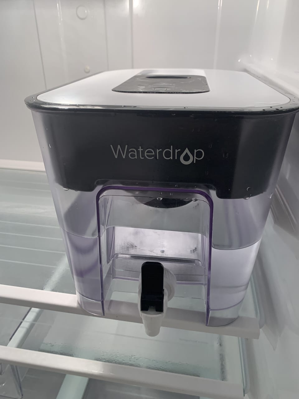Water filter