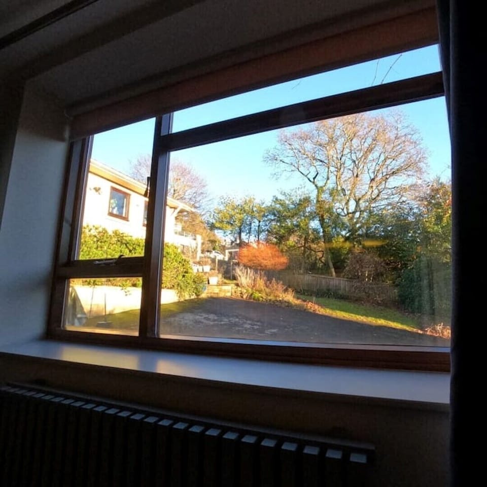 view from window 