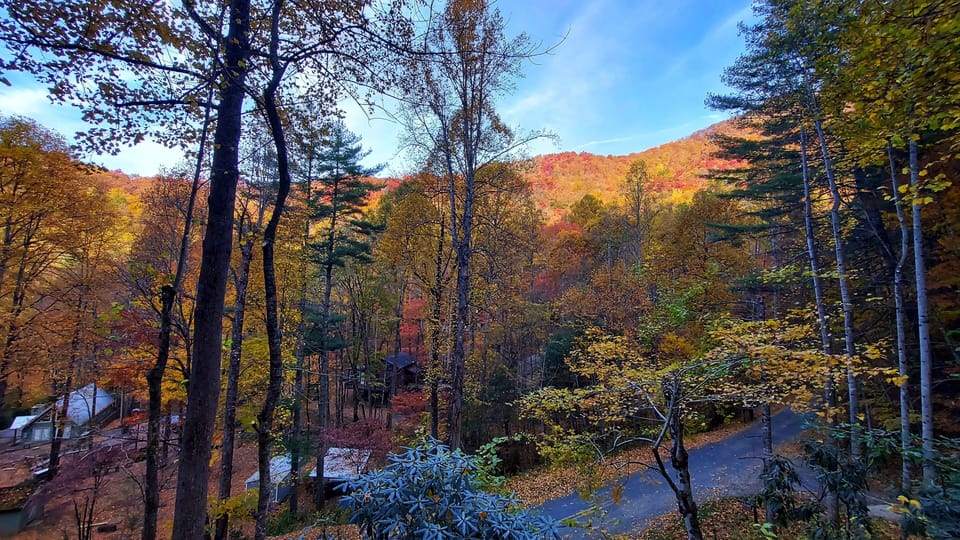 Fall view from the porch. 