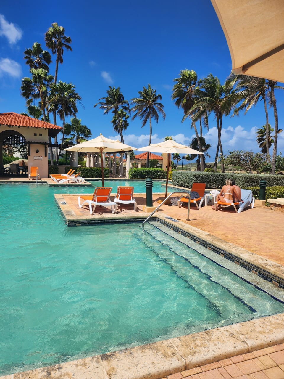 Tiera Del Sol Pool