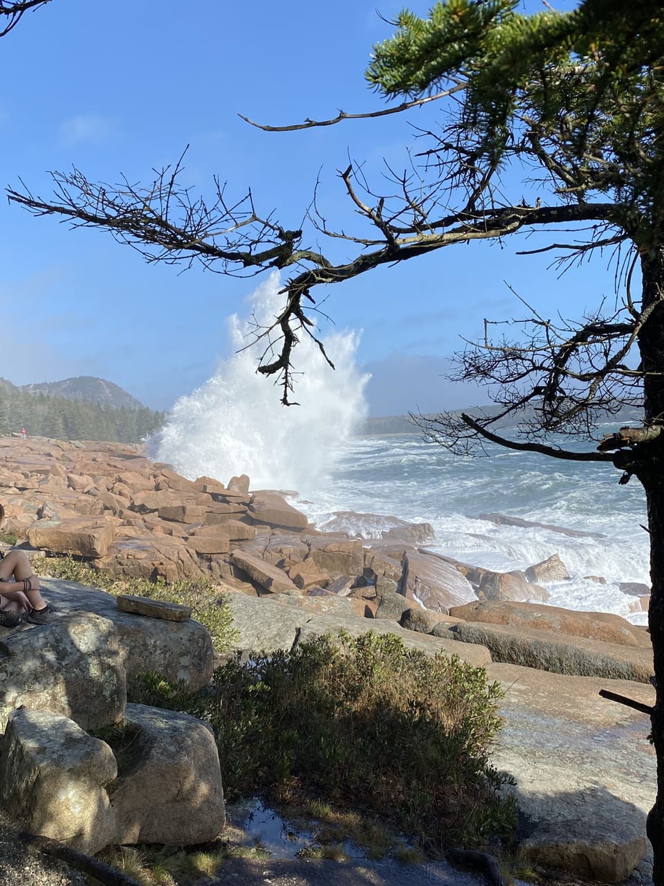 Acadia's ocean path.