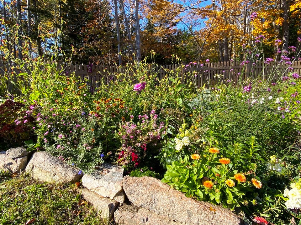 Lots of flowers.  We also like to plant a few small beds of herbs for your use.
