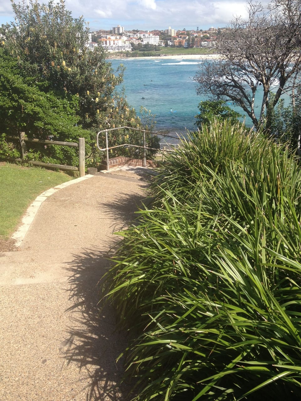 north bondi