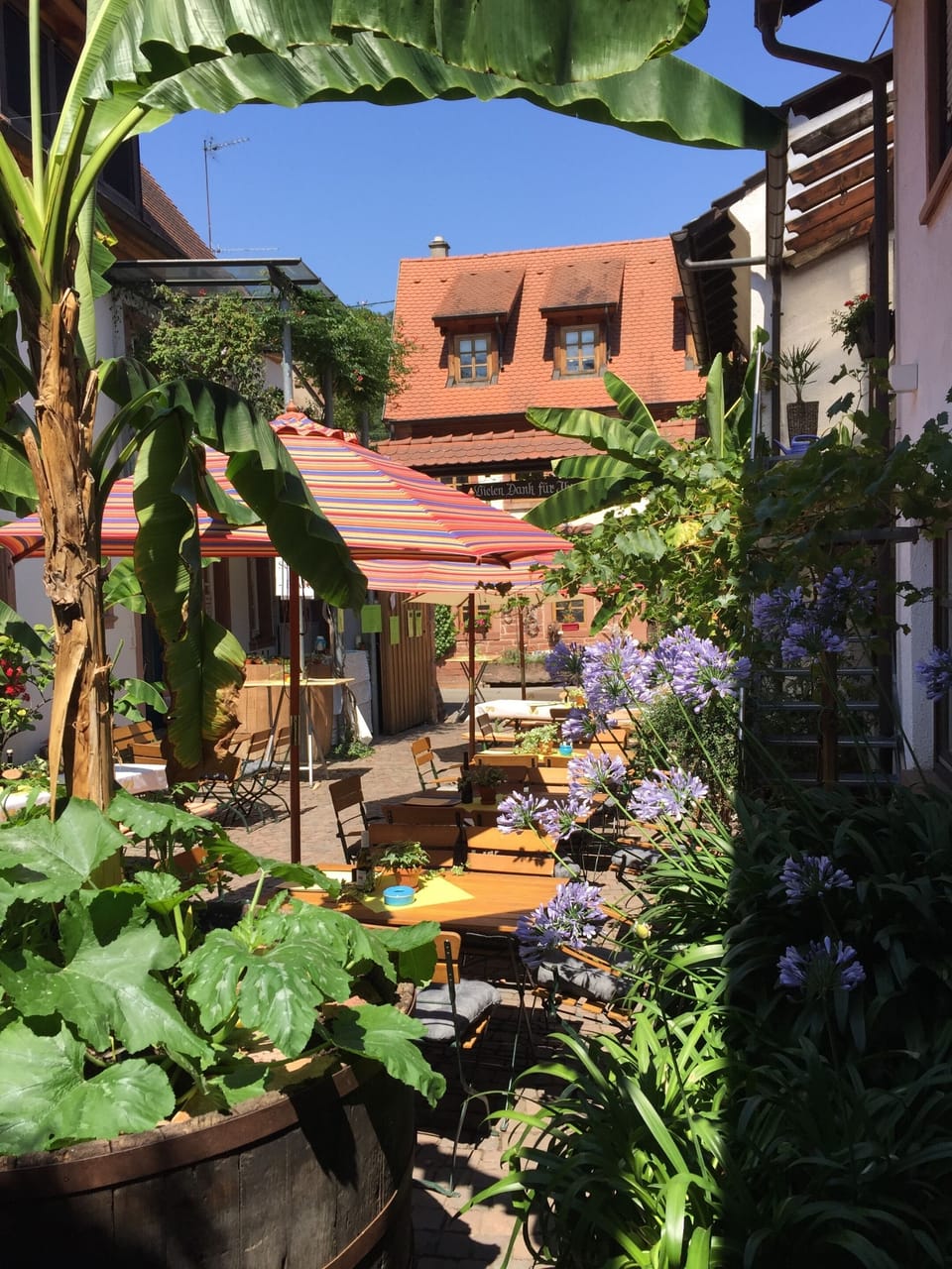 Outdoor dining