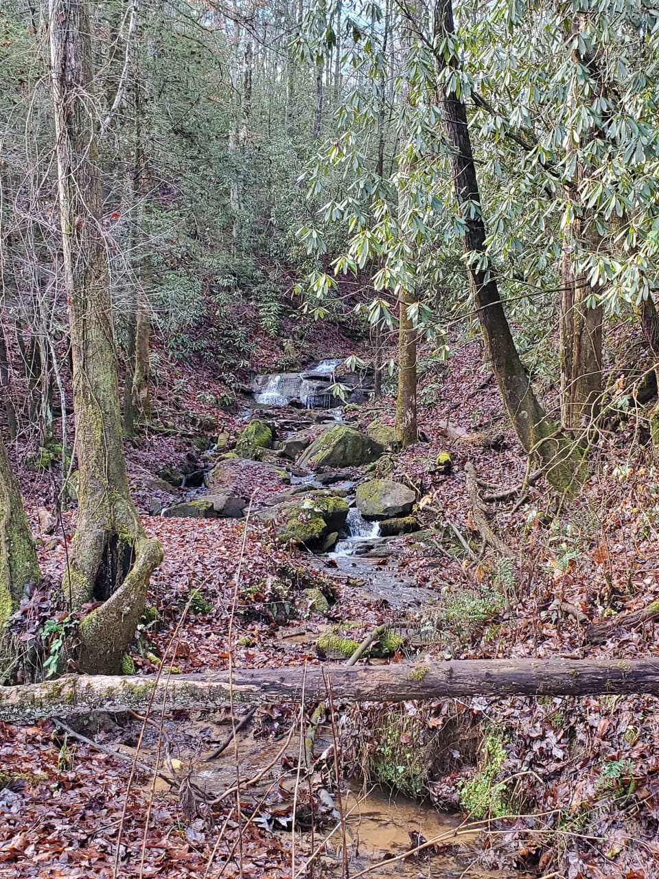 waterfall on property