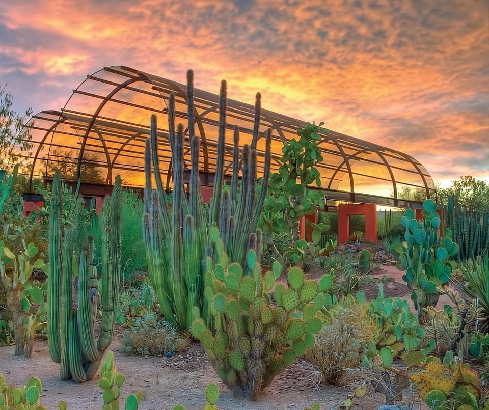 Desert Botanical Gardens
