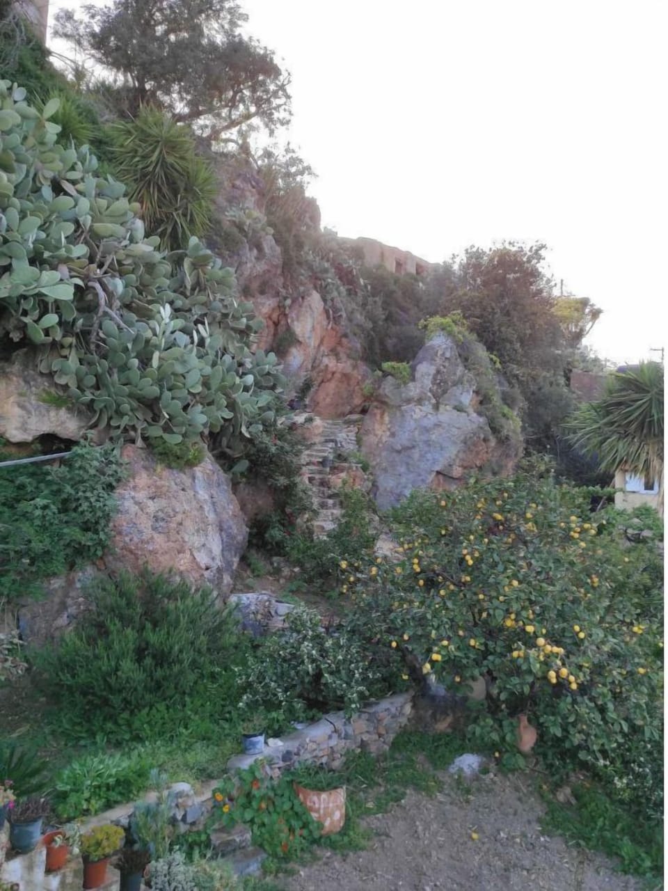 Miscellaneous