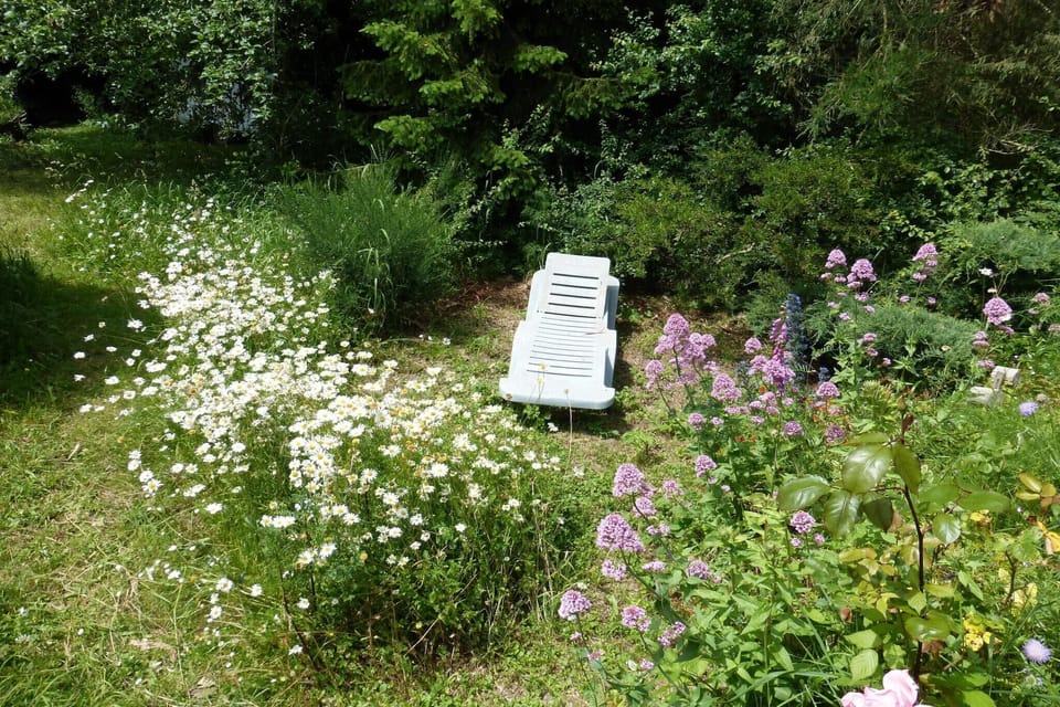 Garden [summer]