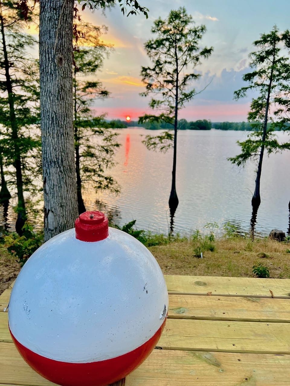 Taken on the deck