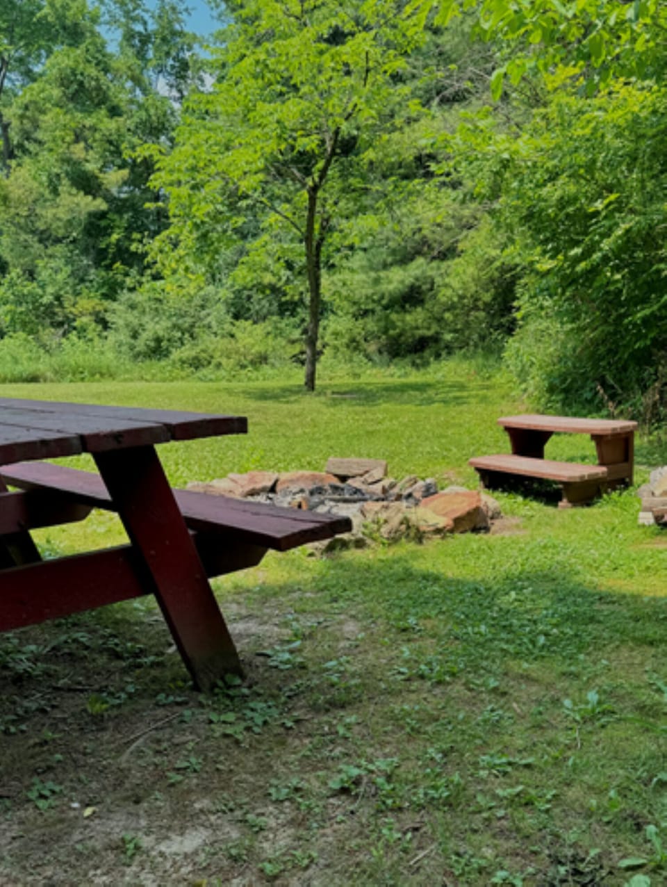 Picnic area